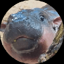 Coin Image