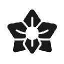 Coin Image