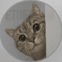 Coin Image