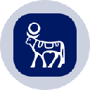 Novo Nordisk Tokenized Stock (Ondo)coin image