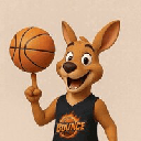 Bouncecoin image