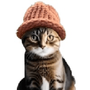 catwifhatcoin image