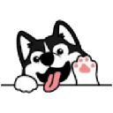 Huskycoin image