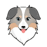 Australian Safe Shepherdcoin icon