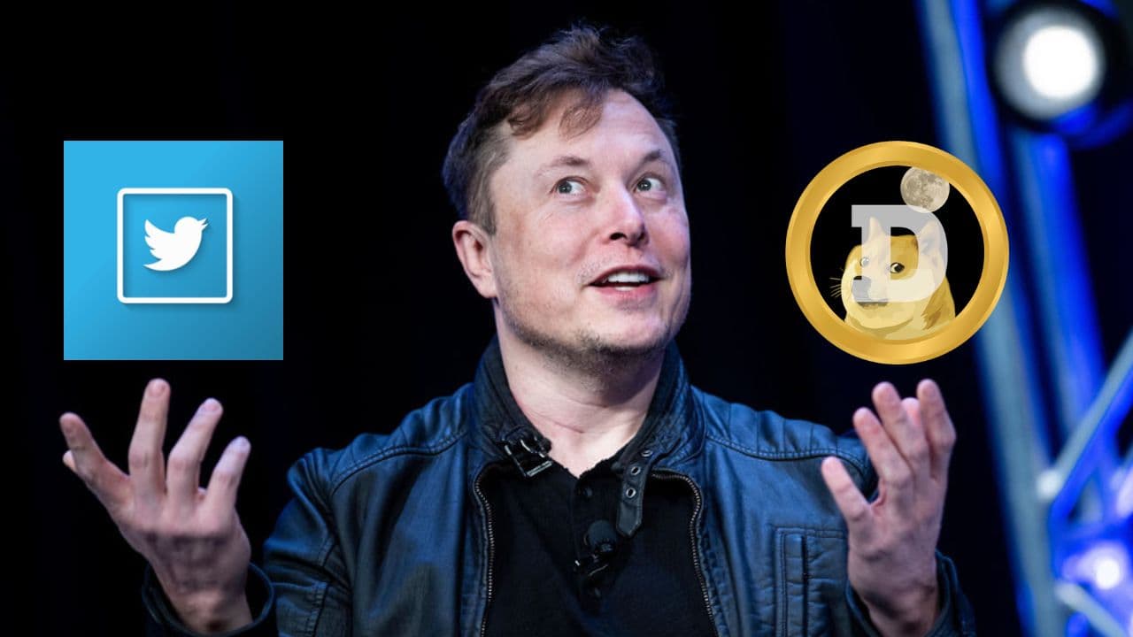 Elon pusht wieder den Dogecoin – Bald Verdopplung im Kurs moglich?