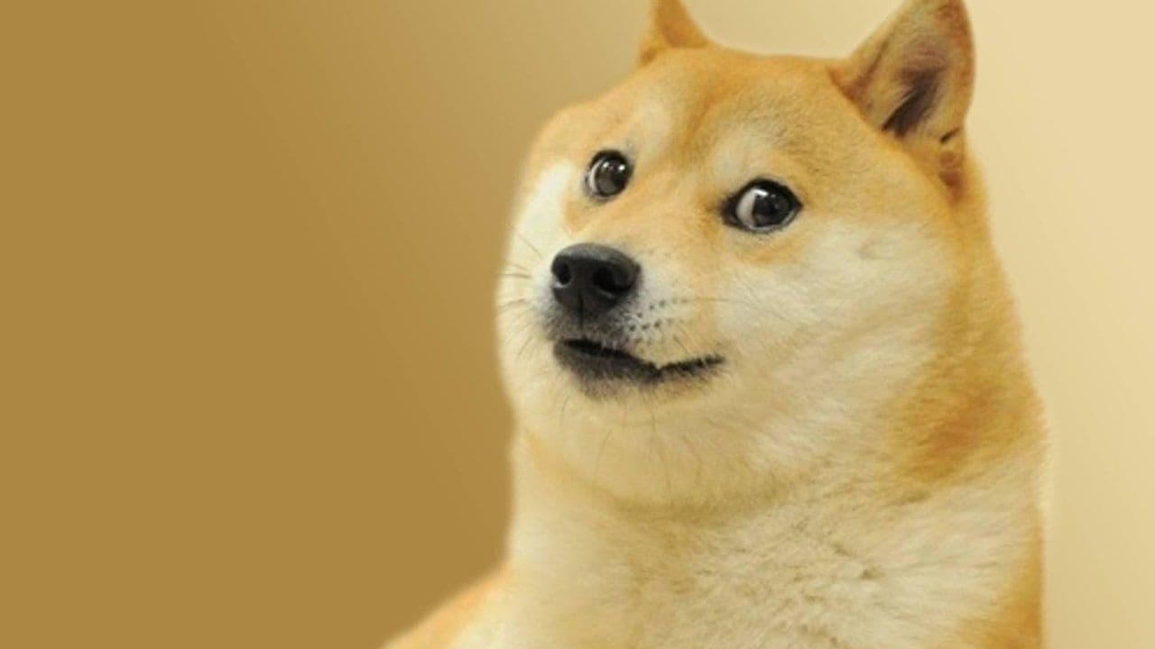Dogecoin Wahnsinn: Uber 400% Anstieg innerhalb einer Woche