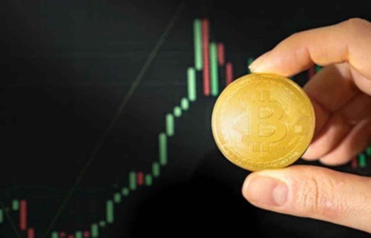 Pick Out A Winning Crypto Portfolio With These 5 Steps