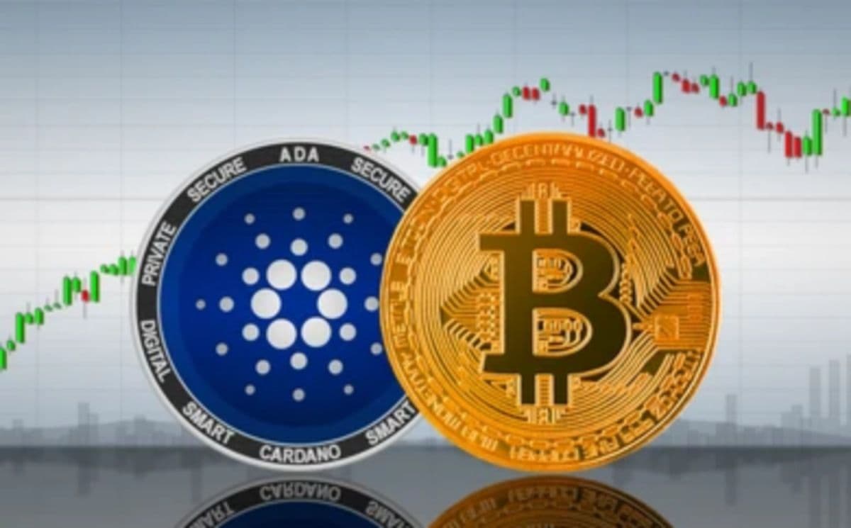 Everything You Should Know About Cryptos for 2022