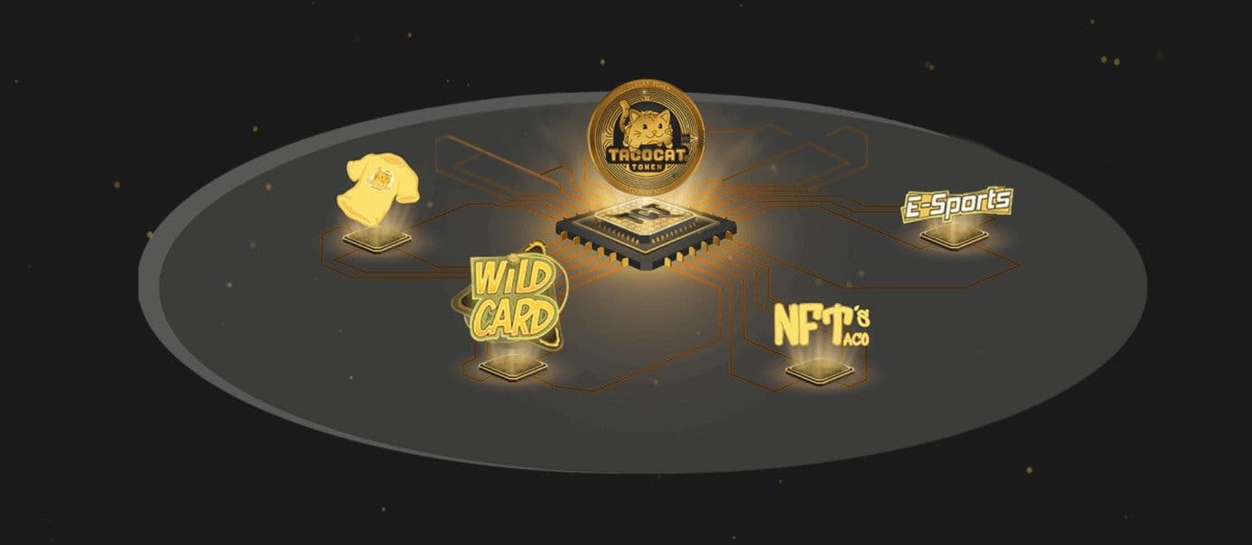 Is Tacocat Crypto a Good Investment?