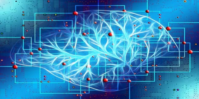 Featured article image