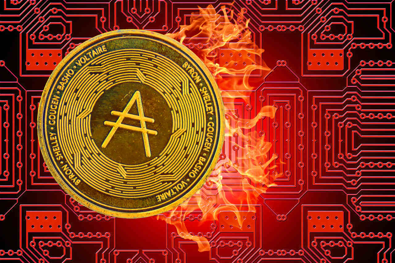 Cardano coin