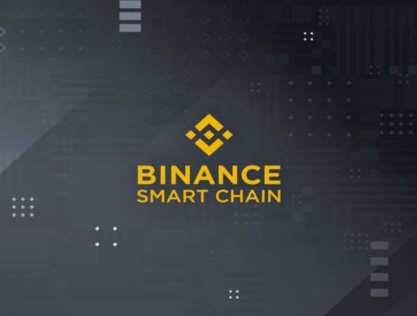 币安智能链——开发者担忧区块链不可持续