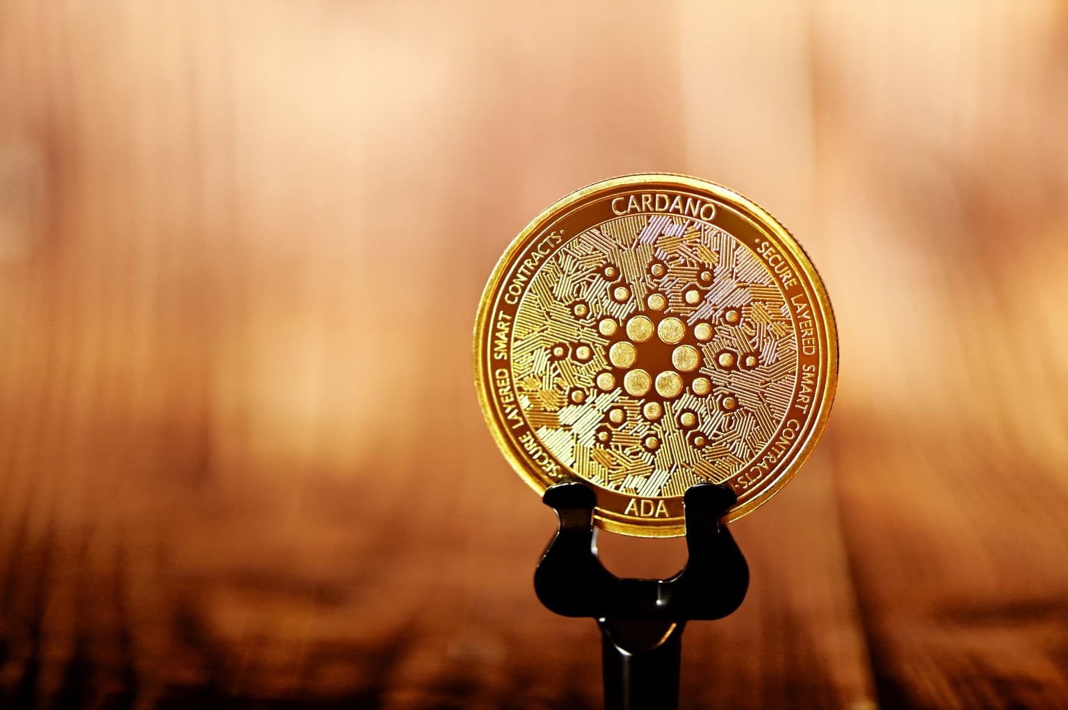 Cardano Kurs Prognose – Hat Cardano noch eine zuversichtliche Zukunft?