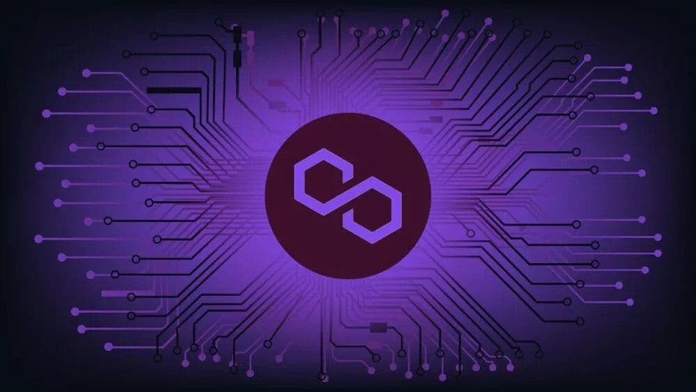 Why is MATIC Price UP despite the Bearish Crypto Market? Here’s Why…