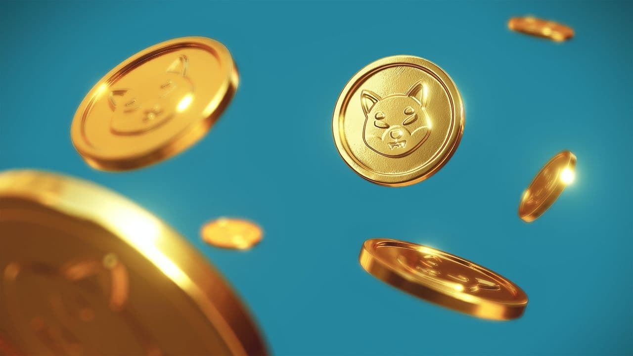 Sollte ich den Shiba Inu Coin im Barenmarkt kaufen und kann ich damit reich werden?