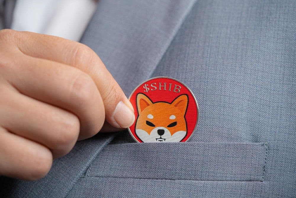 Whale Giant Burnt 8.2 Billion Shiba Inu, Worth $76,000