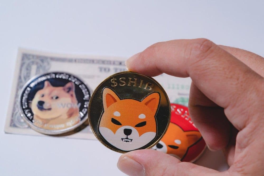 Shiba Inu 2023 年第一季度分(熱銷價格!)