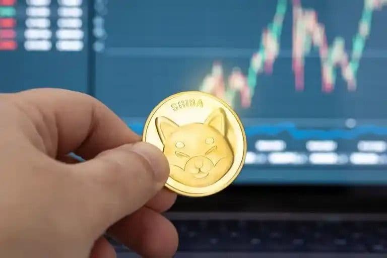 Solana Memecoin BONK legte in 30 Tagen um 1000 % zu: Wird der BONK-Preis Shiba Inu überholen?