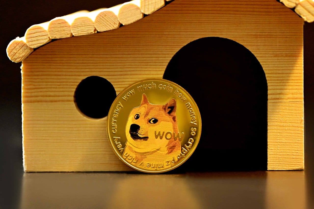 Wie viel ist der Dogecoin im Jahr 2030 wert? – Die große Dogecoin Prognose fur das Jahrzehnt