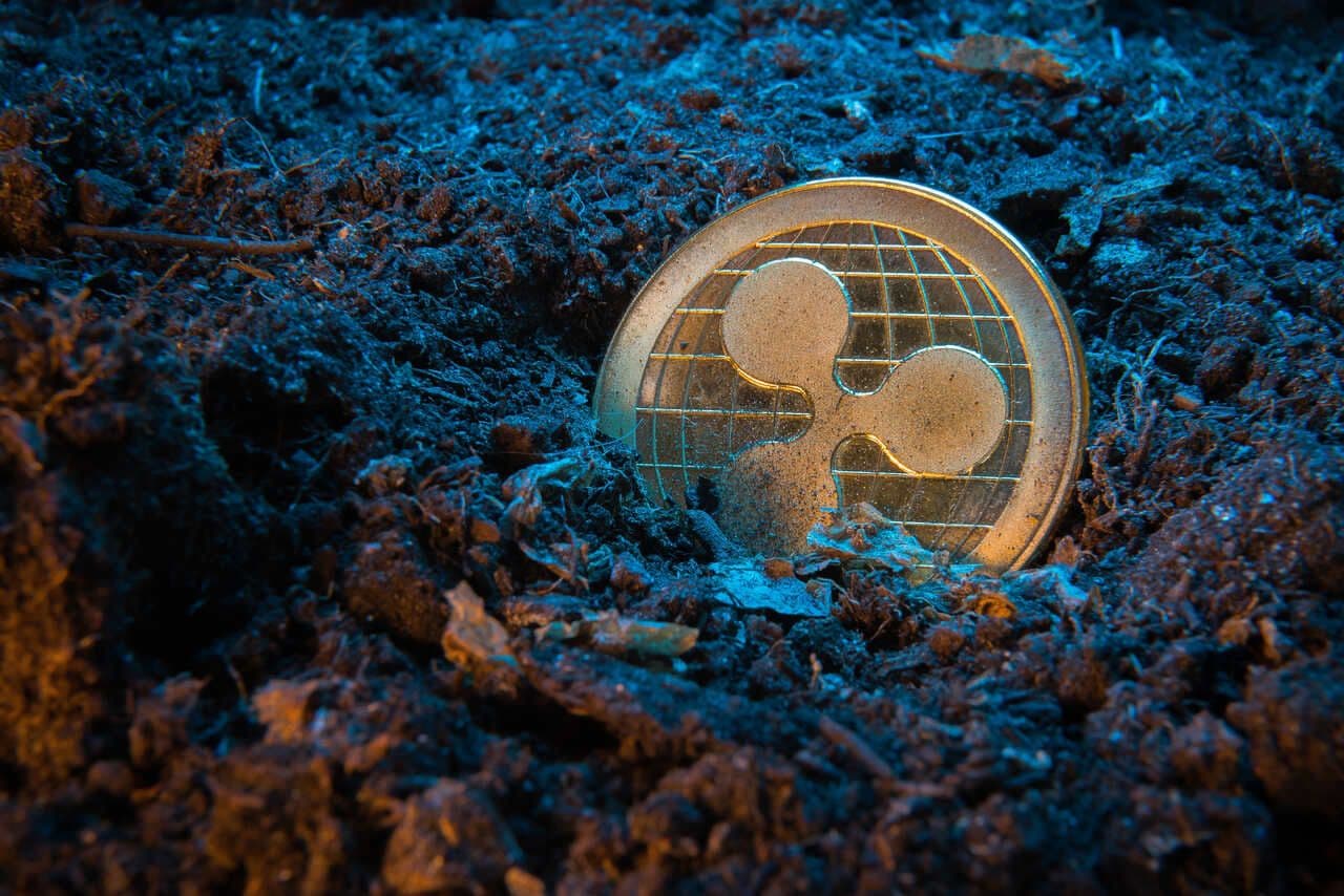 xrp price prediction
