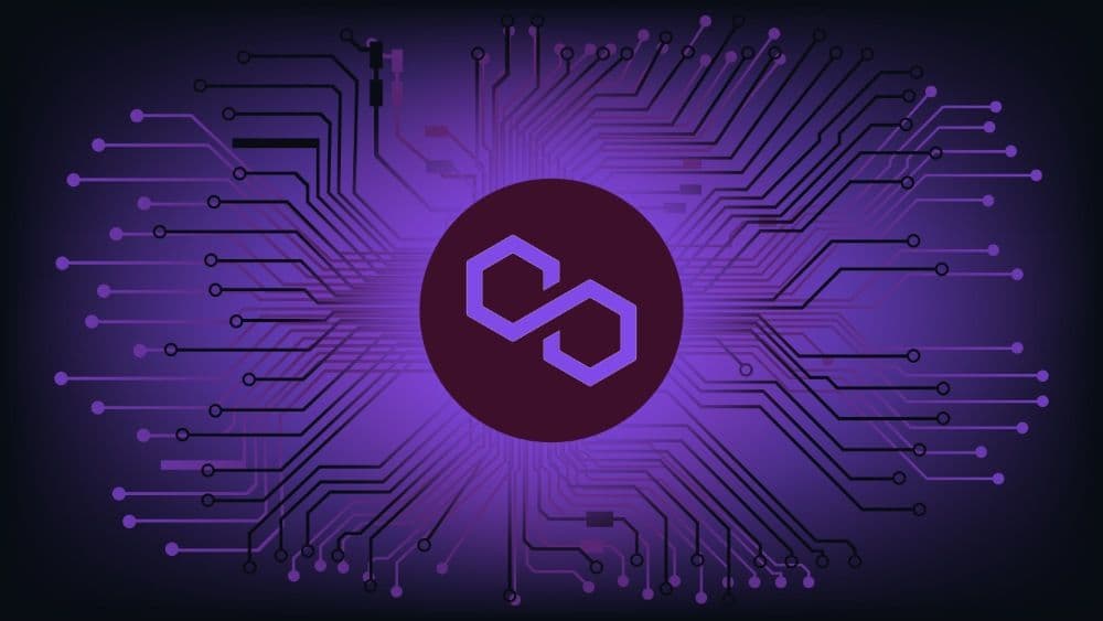 Kann der Polygon (MATIC) Kurs in der Zukunft auf 100 Dollar steigen?