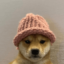 dogwifhat (ETH)coin image