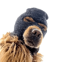 Ski Mask Dogcoin image