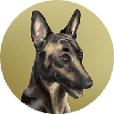 Broccoli (firstbroccoli.com)coin image