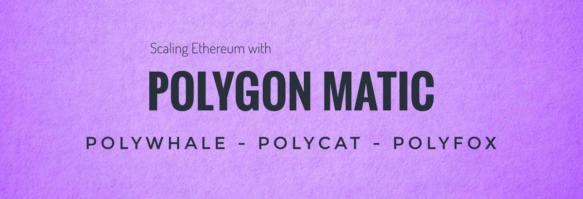 Polygon, Polycat, Polyfox – How these Projects FUEL Ethereum!