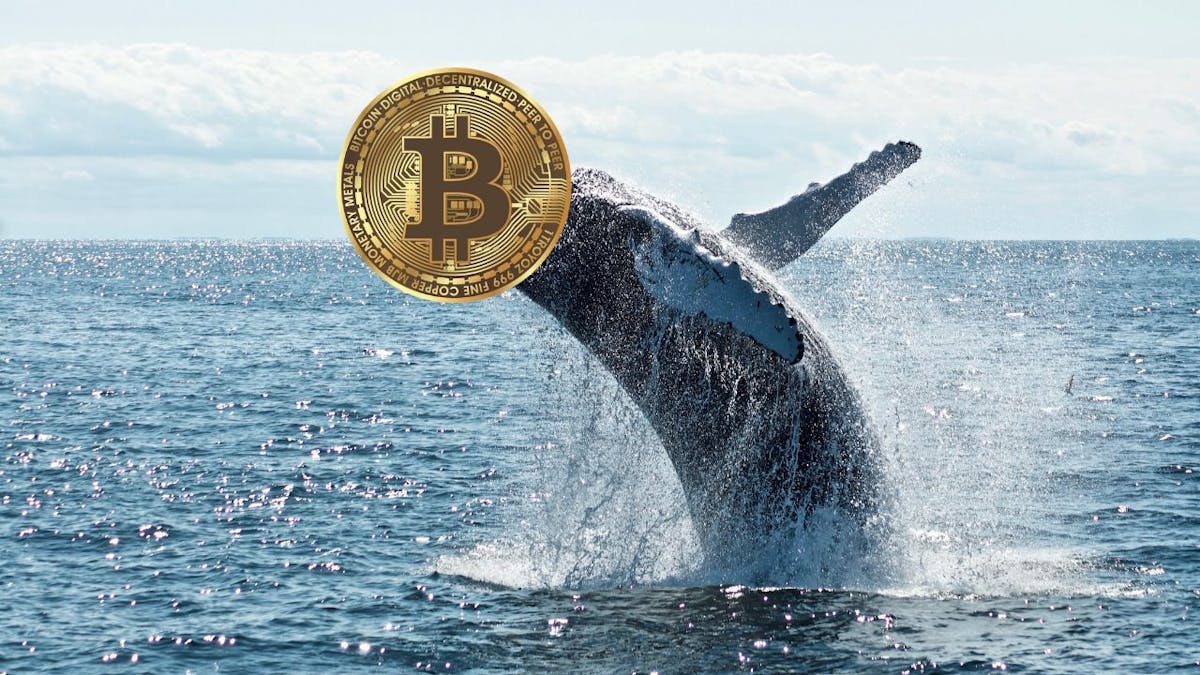 Die 4 großten Bitcoin Wale – Diese Personen konnen den Markt steuern