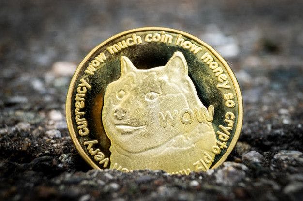 Dogecoin Hohenflug: Spaß-Coin auf einmal Top-Performer
