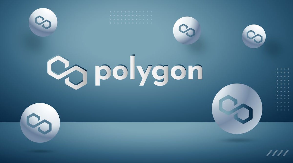 Ist Polygon (MATIC) der große Gewinner im Barenmarkt?