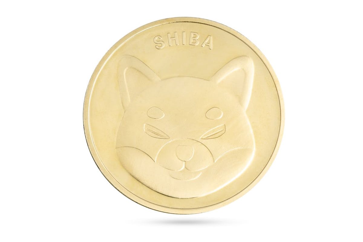 Shiba Inu Coin im Aufwind: Bald wertvoller als der Dogecoin?
