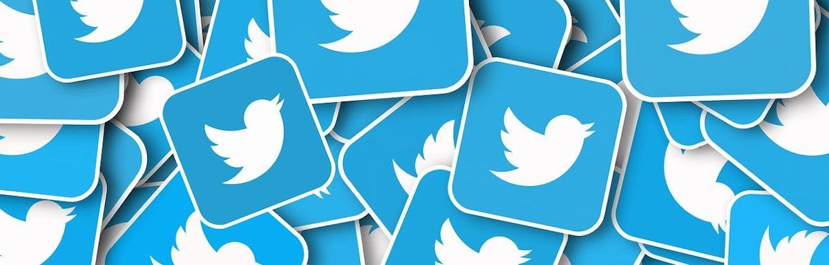 Twitter unterstutzt Krypto! So kannst du dein NFT als Profilbild hinterlegen